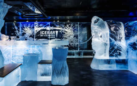 ICEBAR Cool City